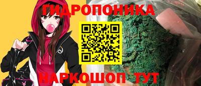 apvp Краснодар