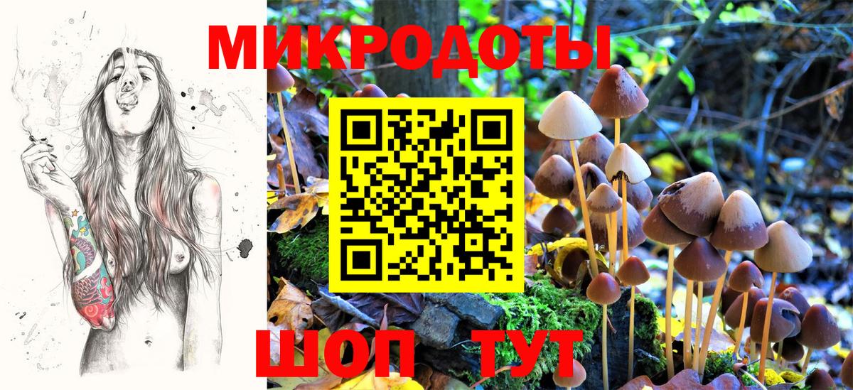Псилоцибиновые грибы мухоморы Костомукша