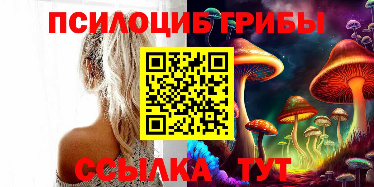 Костомукша  Псилоцибиновые грибы Cubensis  Вход с VPN  Псилоцибиновые грибы мухоморы 